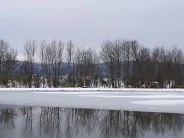 Teichwirtschaft Veckenstedt-2