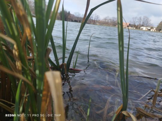 Teichwirtschaft Veckenstedt-1