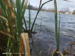 Teichwirtschaft Veckenstedt-1