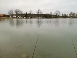 Teichwirtschaft Veckenstedt-0