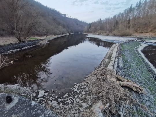 Saale (Ziegenrück)-3