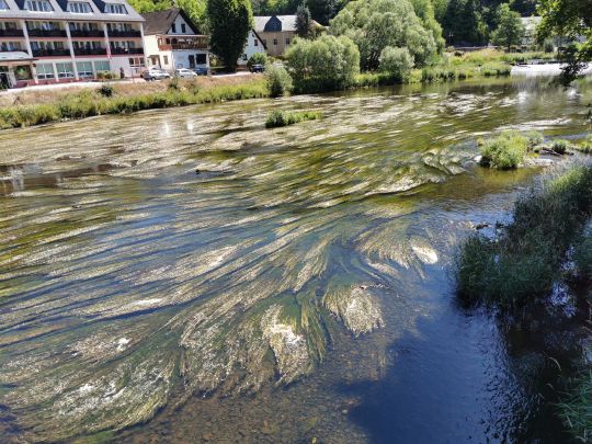 Saale (Ziegenrück)