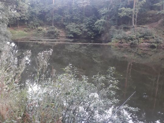 Königssee (Bebertal)-1