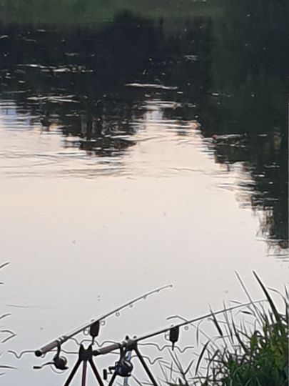 Weser (Porta Westfalica)-1