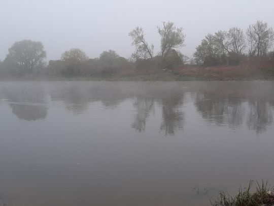 Weser (Porta Westfalica)-2