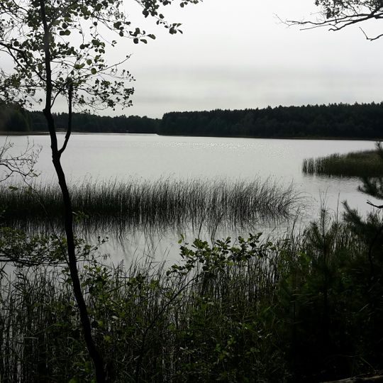 Langhagensee (Neu Poserin)-4