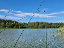 Langhagensee (Neu Poserin)-1