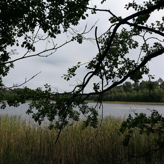 Langhagensee (Neu Poserin) angeln