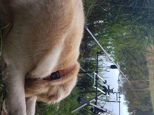 Neumühlenteich (Pressel)-3