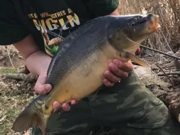 Neumühlenteich (Pressel)