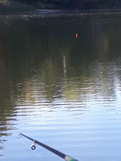 Neumühlenteich (Pressel)-2