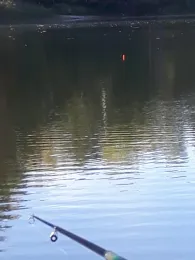 Neumühlenteich (Pressel)-2