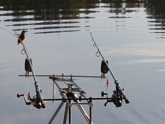 Neumühlenteich (Pressel)-4