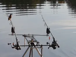 Neumühlenteich (Pressel)-4