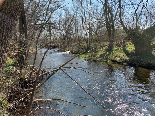 Wipfra (Eischleben)-1