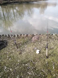 Inselsee (Nordenham)-3