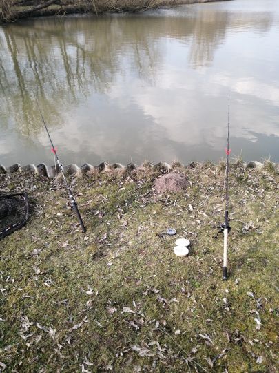 Inselsee (Nordenham)-4