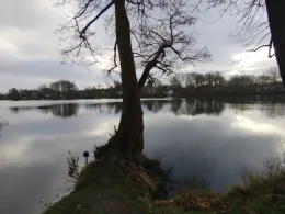 Mühlenteich (Glücksburg)-3