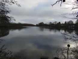 Mühlenteich (Glücksburg)-2