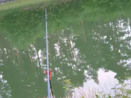 Elbe-Seitenkanal (Wrestedt)-4