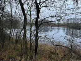 Klarer See (Grünow)