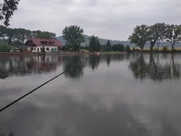 Hämbacher Karpfenteich