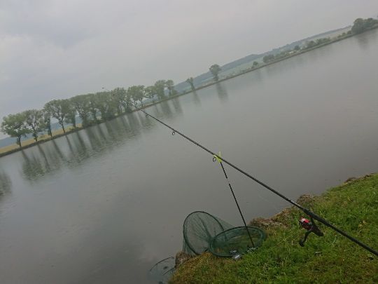 Hämbacher Karpfenteich-0