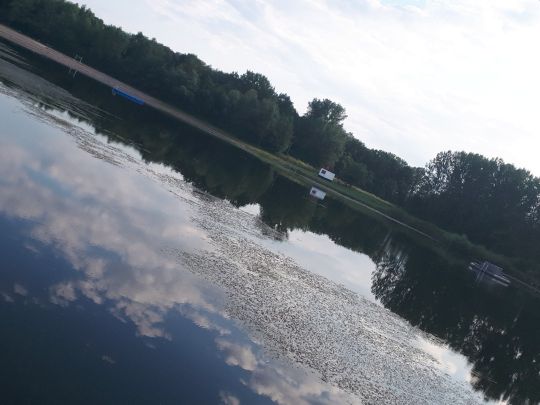 Badesee Gernsheim-2