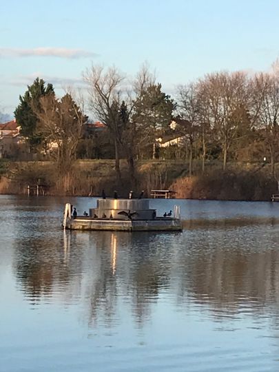 Badesee Gernsheim-1