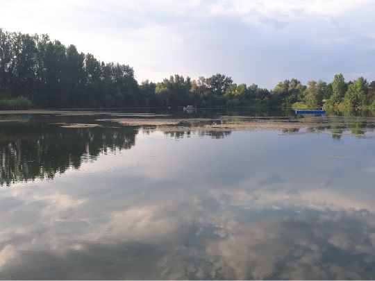 Badesee Gernsheim-3