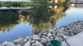 Crișul Repede (Oradea) 