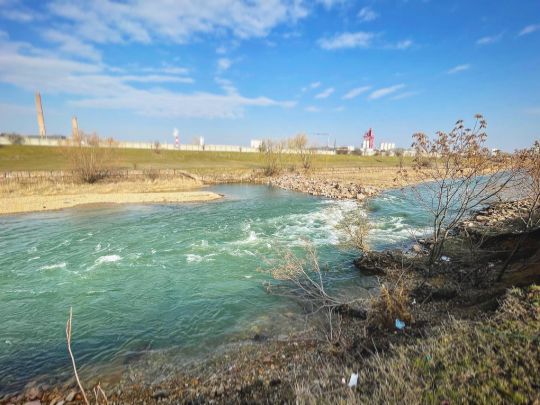 Crișul Repede (Oradea) -1