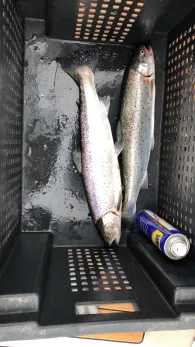 Ostsee (Timmendorfer Strand)-1