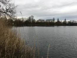 Nordparkteich (Gladbeck)-2