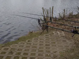 Nordparkteich (Gladbeck)