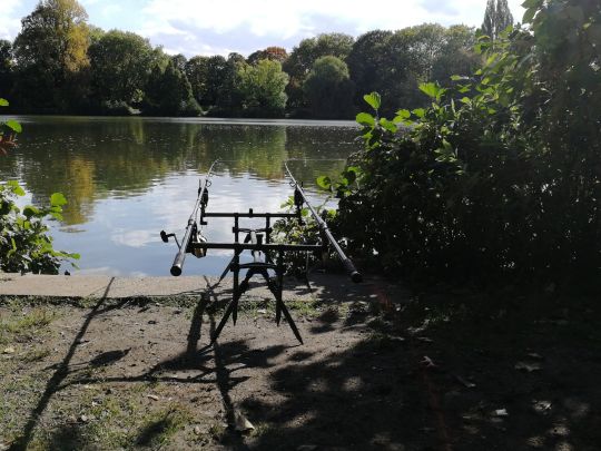 Nordparkteich (Gladbeck)-3