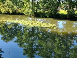 Schlitz (Bad Salzschlirf)