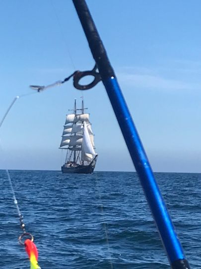 Ostsee (Fehmarn-Westermarkelsdorf)-1