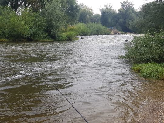 Weiße Elster (Zeitz)-2