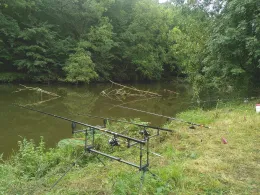 Weiße Elster (Zeitz)-1