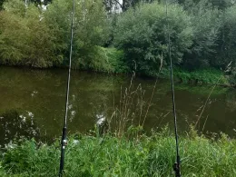 Weiße Elster (Zeitz)-4