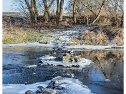 Weiße Elster (Zeitz)-3