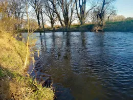 Weiße Elster (Zeitz)