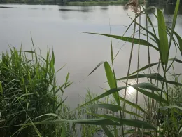 Gelber Stich (Ketzin)-2