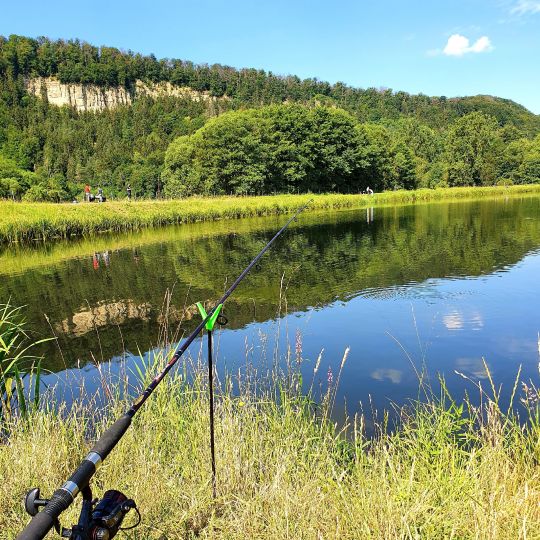 Forellenhof Themar-2