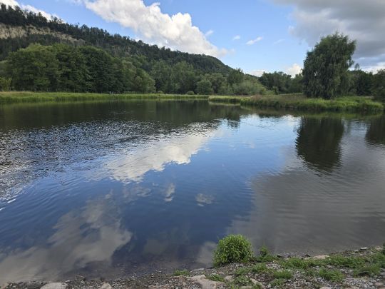 Forellenhof Themar-4