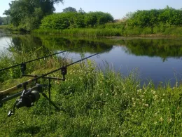 Schusterbusch (Puchau)-2