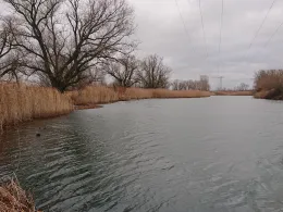 Schusterbusch (Puchau)-4