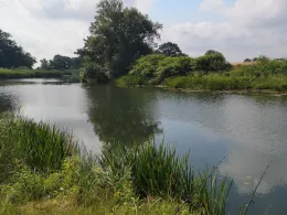 Schusterbusch (Puchau)