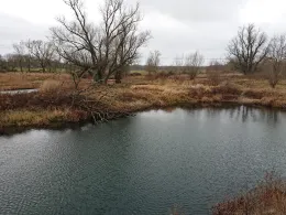 Schusterbusch (Puchau)-3